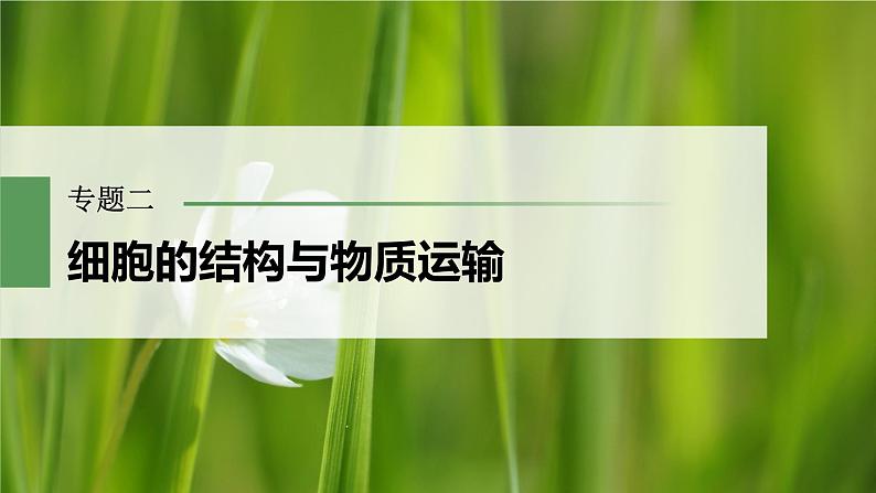 2023届高考生物二轮复习语言表达(一)与细胞有关的概念、特点、作用描述课件第1页