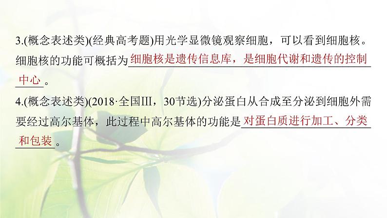 2023届高考生物二轮复习语言表达(一)与细胞有关的概念、特点、作用描述课件第6页