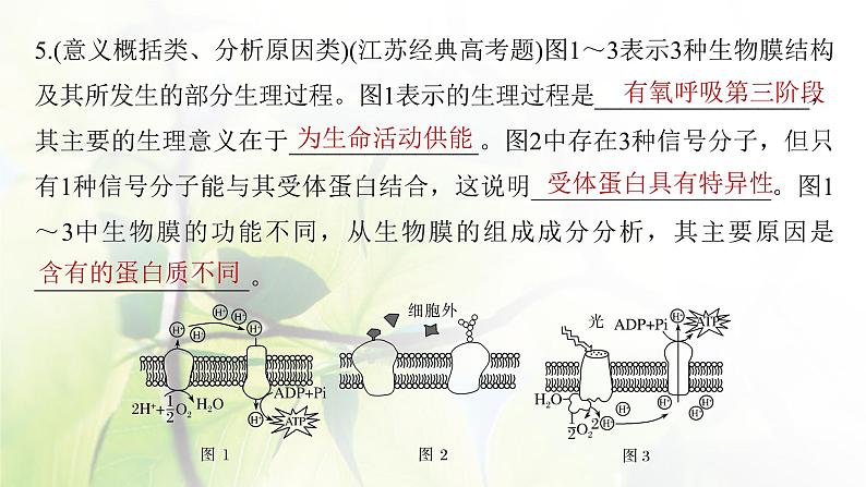 2023届高考生物二轮复习语言表达(一)与细胞有关的概念、特点、作用描述课件第7页