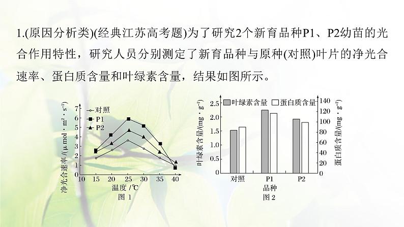 2023届高考生物二轮复习语言表达(二)细胞代谢中相关现象的原因分析课件05