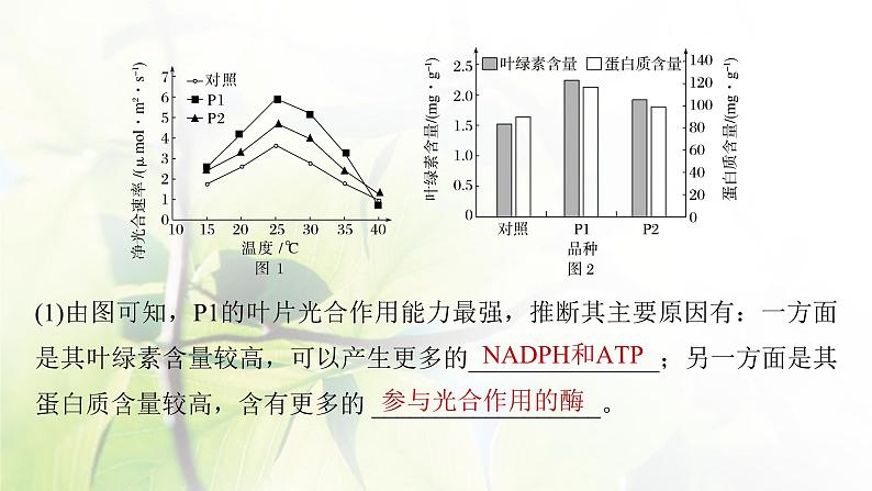 2023届高考生物二轮复习语言表达(二)细胞代谢中相关现象的原因分析课件06