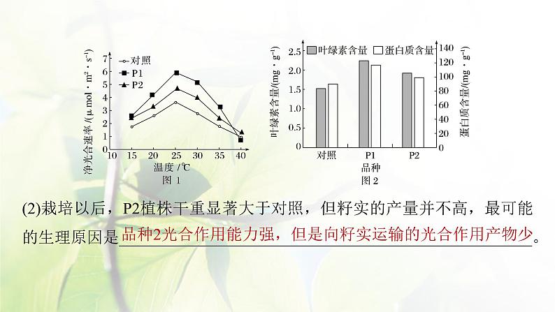 2023届高考生物二轮复习语言表达(二)细胞代谢中相关现象的原因分析课件07