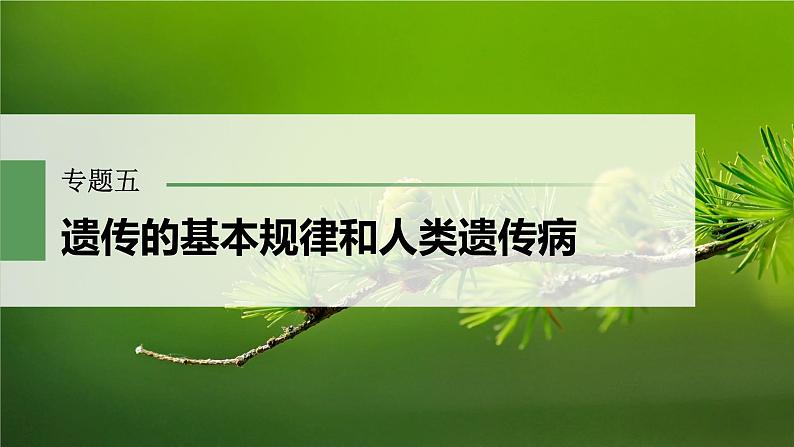 2023届高考生物二轮复习语言表达(三)遗传实验中相关推理分析课件第1页