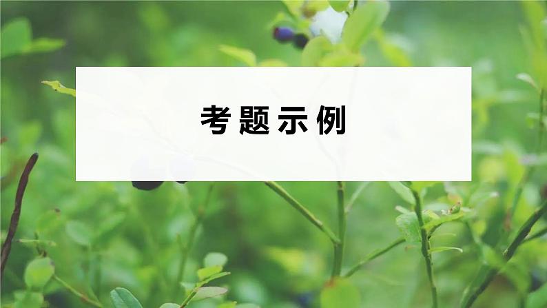 2023届高考生物二轮复习语言表达(三)遗传实验中相关推理分析课件第4页