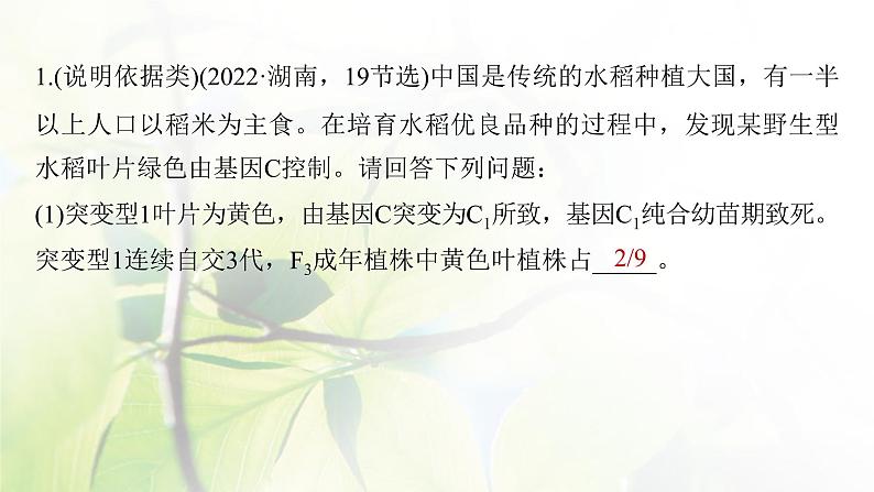 2023届高考生物二轮复习语言表达(三)遗传实验中相关推理分析课件第5页