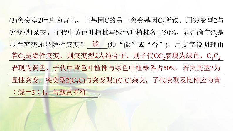 2023届高考生物二轮复习语言表达(三)遗传实验中相关推理分析课件第7页