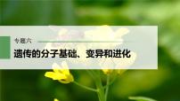 2023届高考生物二轮复习语言表达(四)变异类型的确定课件