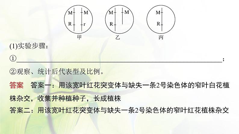 2023届高考生物二轮复习语言表达(四)变异类型的确定课件第6页