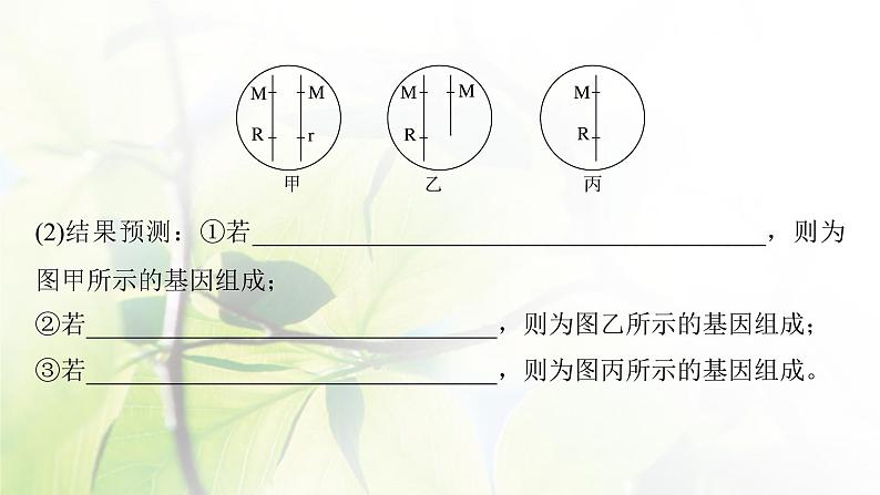 2023届高考生物二轮复习语言表达(四)变异类型的确定课件第7页