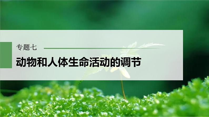 2023届高考生物二轮复习语言表达(五)个体稳态中相关过程变化机理分析课件01