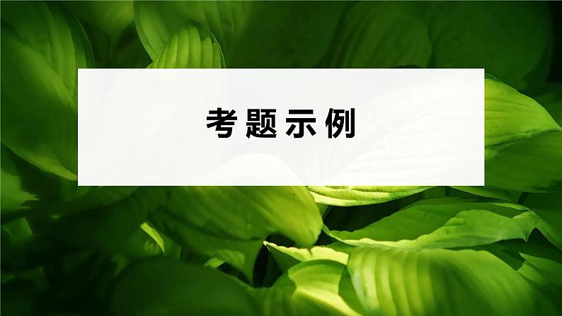 2023届高考生物二轮复习语言表达(五)个体稳态中相关过程变化机理分析课件04