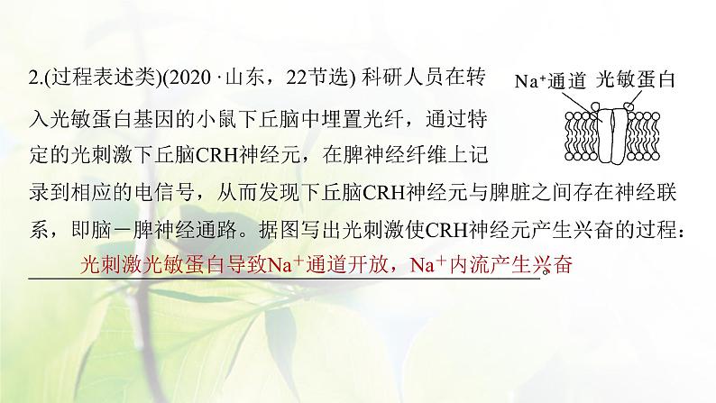 2023届高考生物二轮复习语言表达(五)个体稳态中相关过程变化机理分析课件06