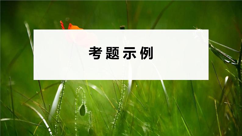 2023届高考生物二轮复习语言表达(六)群体稳态中相关概念、措施及意义分析课件04