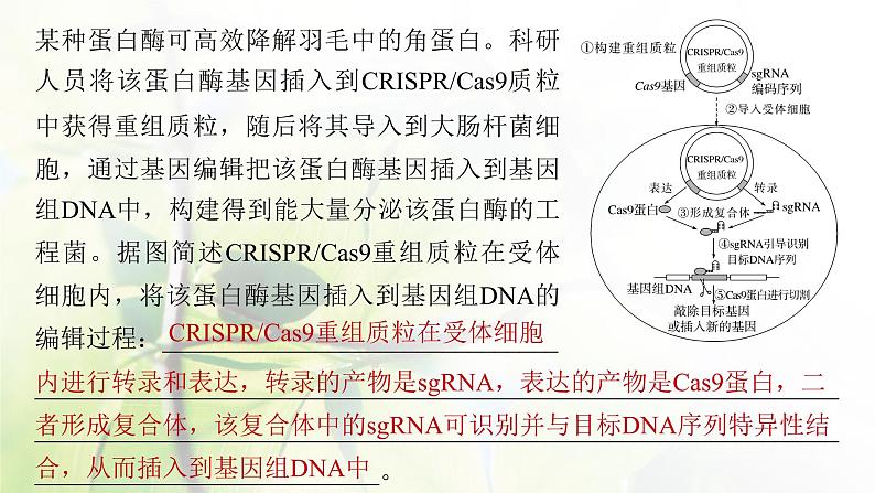 2023届高考生物二轮复习语言表达(七)生物工程中相关原理、过程分析课件第8页