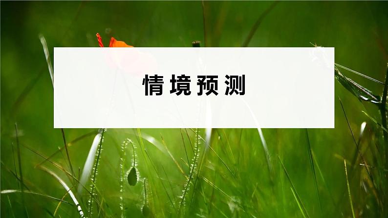 2023届高考生物二轮复习微专题(五)绿色环保课件第4页