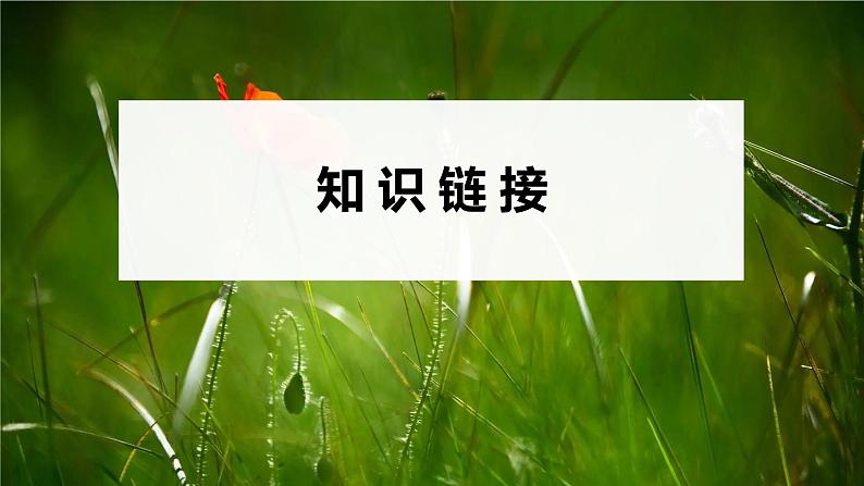 2023届高考生物二轮复习微专题(五)绿色环保课件第6页