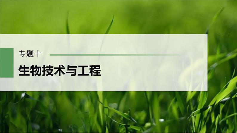 2023届高考生物二轮复习微专题(六)与生物学相关的诺贝尔奖课件第1页