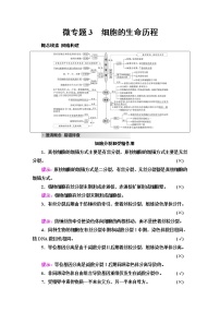 2023届高考生物二轮复习专题1微专题3细胞的生命历程学案