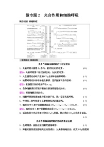 2023届高考生物二轮复习专题2微专题2光合作用和细胞呼吸学案