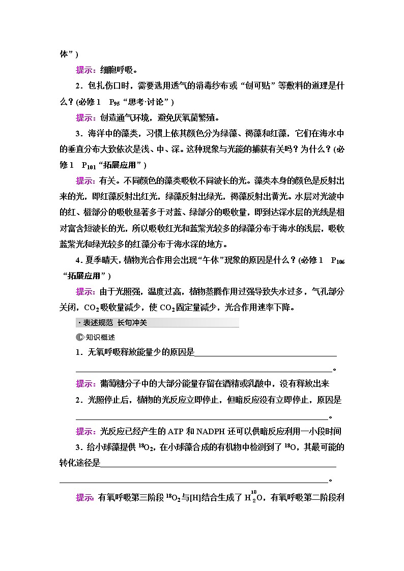 2023届高考生物二轮复习专题2微专题2光合作用和细胞呼吸学案03