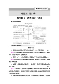 2023届高考生物二轮复习专题3微专题1遗传的分子基础学案