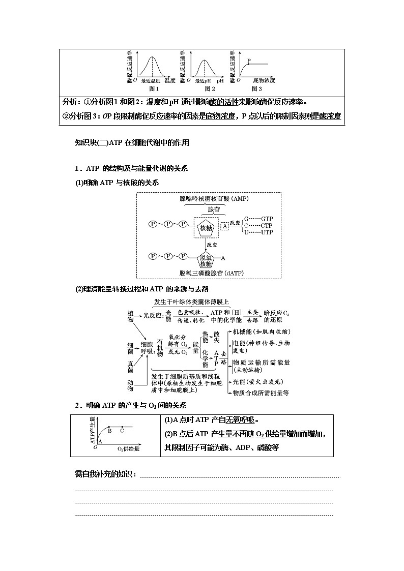 2023届高考生物二轮复习系统大概念——细胞的生存需要能量和营养物质学案03