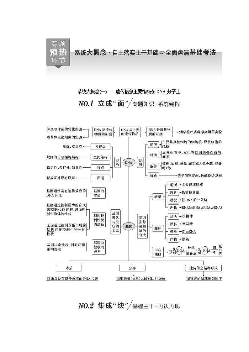 2023届高考生物二轮复习系统大概念(一)——遗传信息主要编码在DNA分子上学案第1页