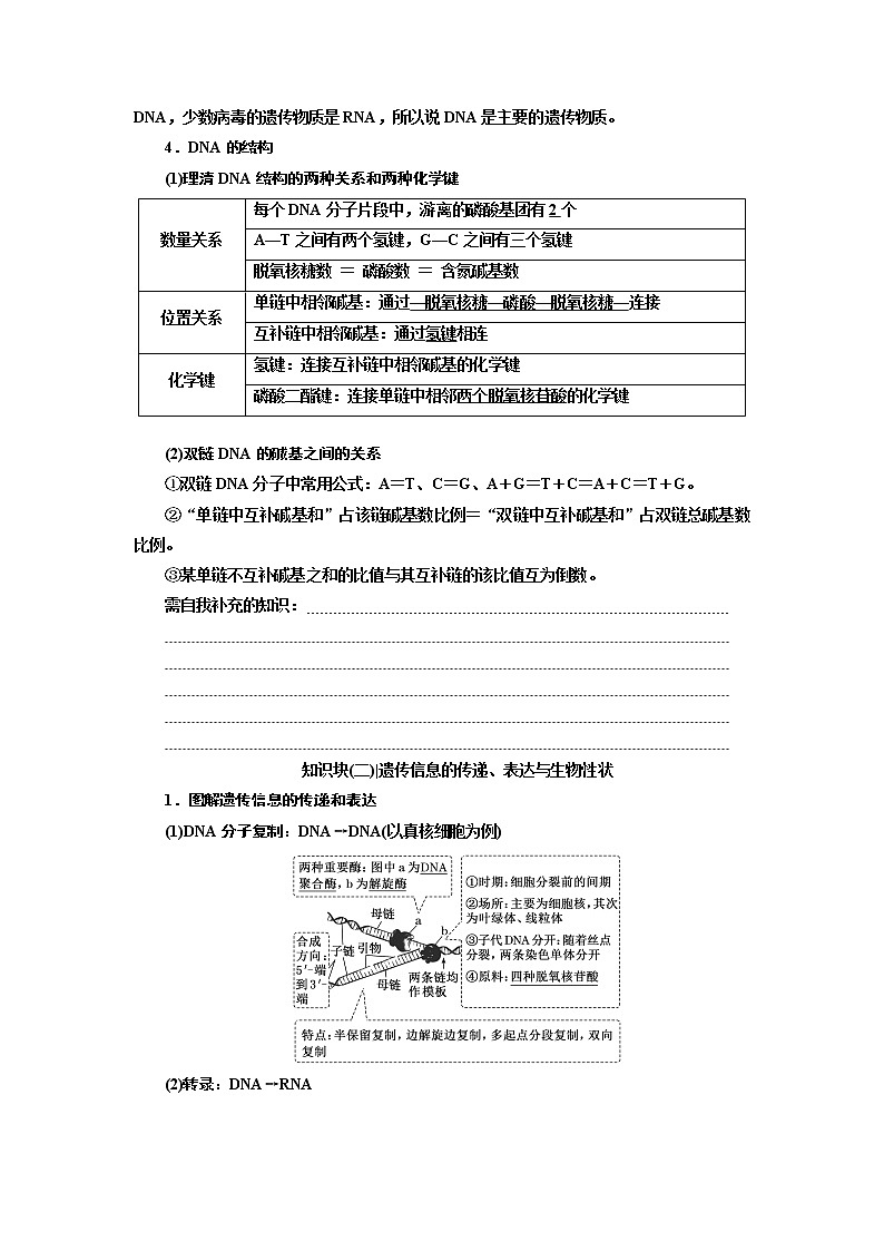 2023届高考生物二轮复习系统大概念(一)——遗传信息主要编码在DNA分子上学案第3页