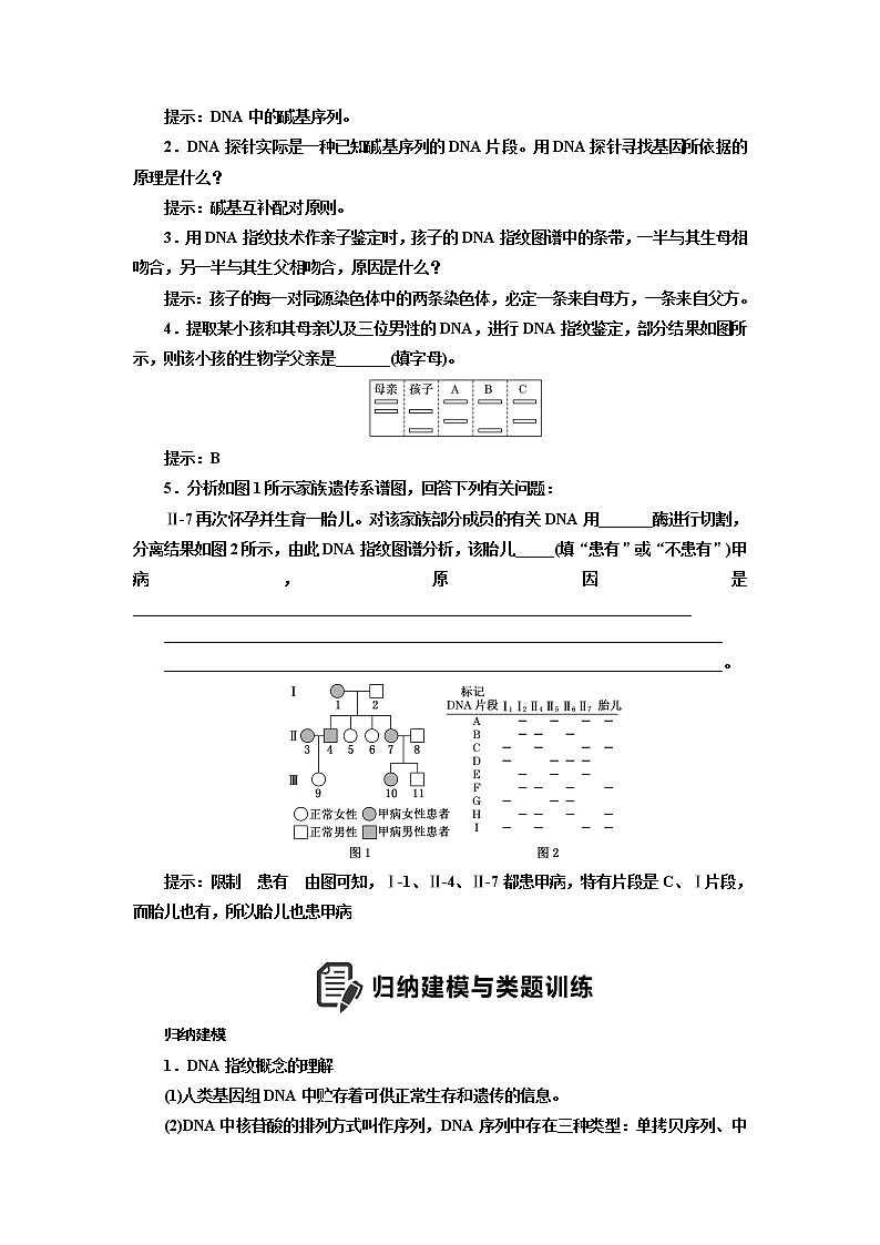 2023届高考生物二轮复习破译新情境——通过“DNA鉴定技术”，破解遗传类题目的应用问题学案第3页