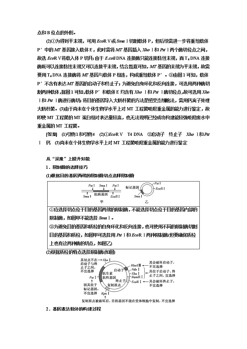 2023届高考生物二轮复习精研重难点(二)基因工程中限制酶的选取与基因表达载体的构建学案第2页