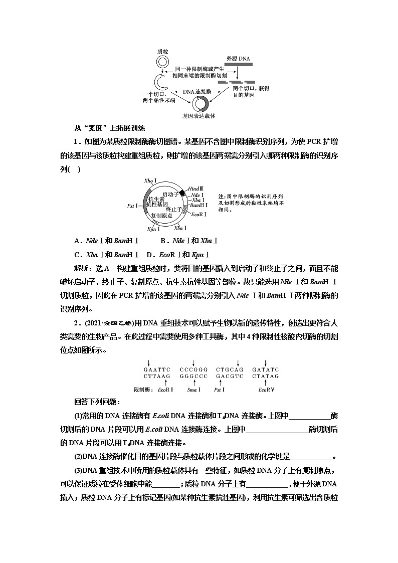 2023届高考生物二轮复习精研重难点(二)基因工程中限制酶的选取与基因表达载体的构建学案第3页