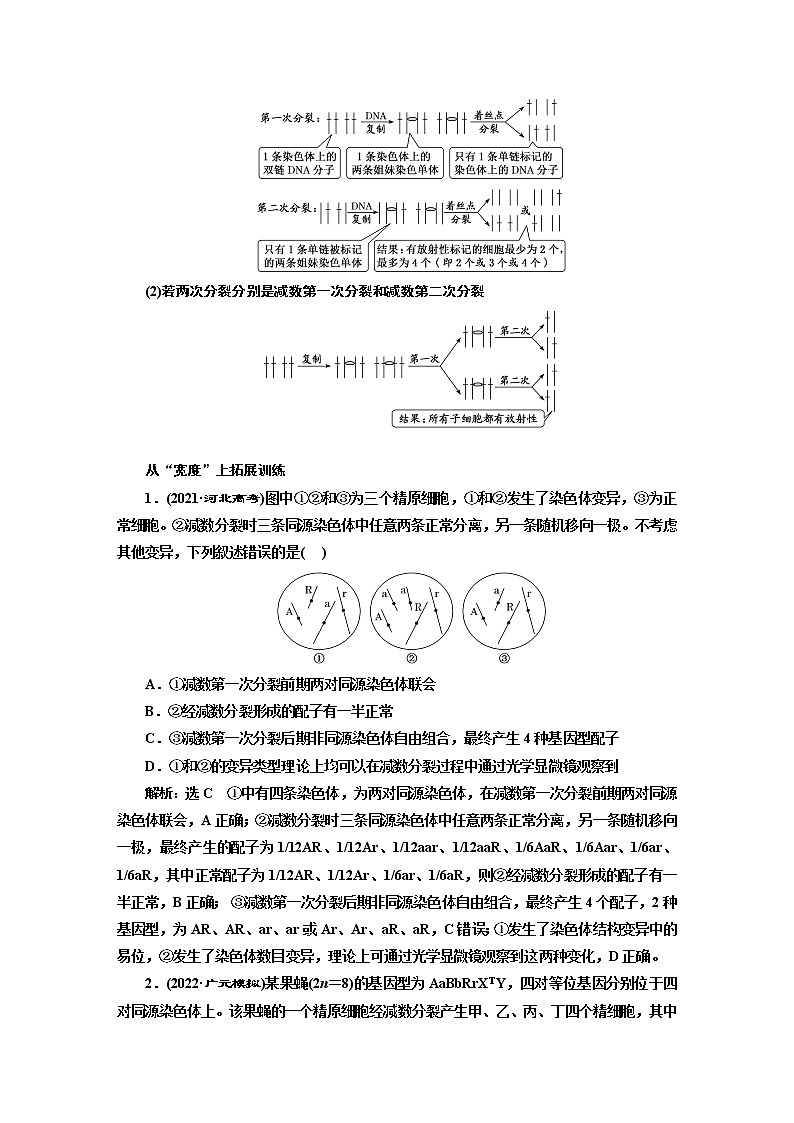 2023届高考生物二轮复习精研重难点(二)细胞分裂中变异类型和标记染色体去向的分析学案03