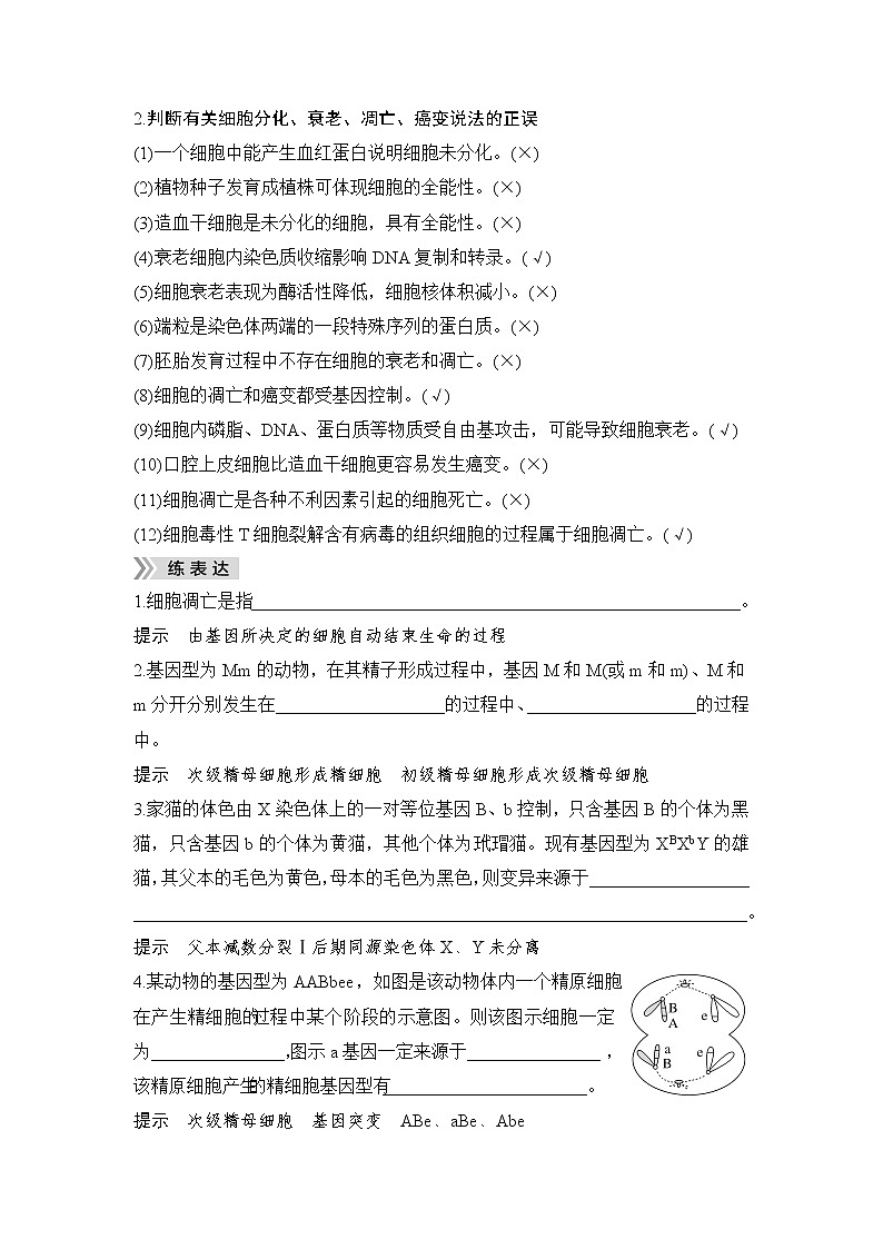 2023届高考生物二轮复习专题三细胞的生命历程学案第3页