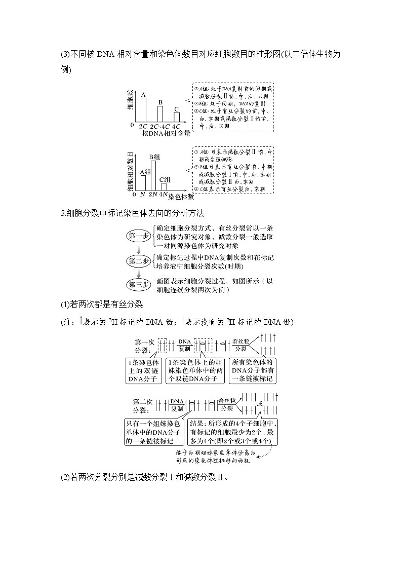 2023届高考生物二轮复习微专题1有丝分裂与减数分裂学案02