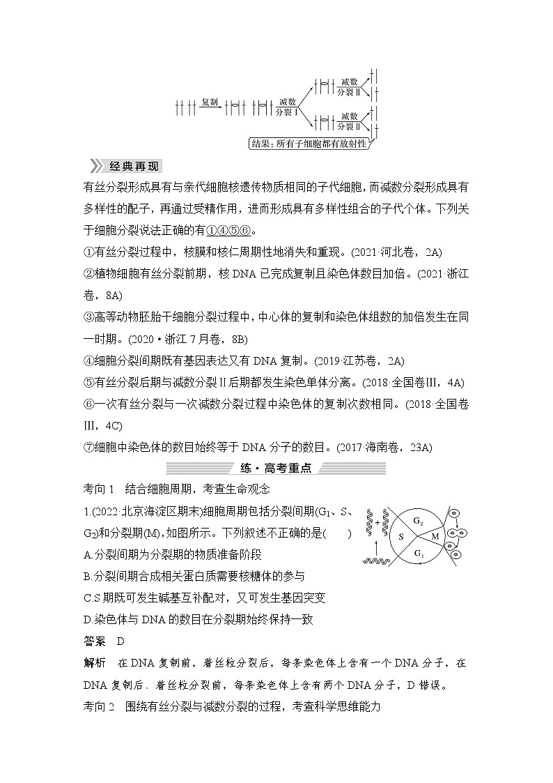 2023届高考生物二轮复习微专题1有丝分裂与减数分裂学案03