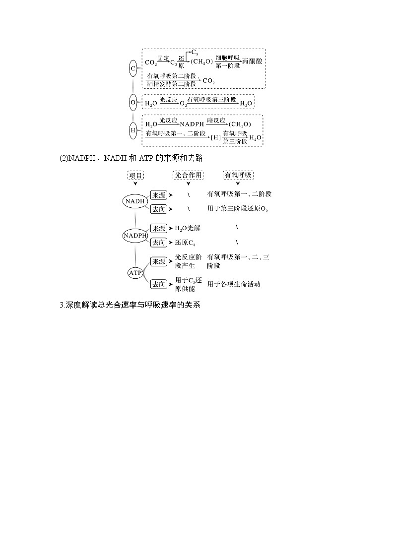 2023届高考生物二轮复习微专题2光合作用与细胞呼吸的过程学案02