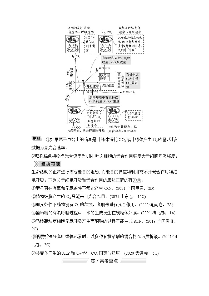 2023届高考生物二轮复习微专题2光合作用与细胞呼吸的过程学案03