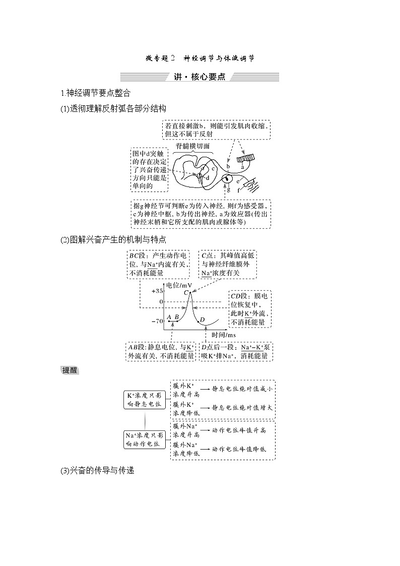 2023届高考生物二轮复习微专题2神经调节与体液调节学案01