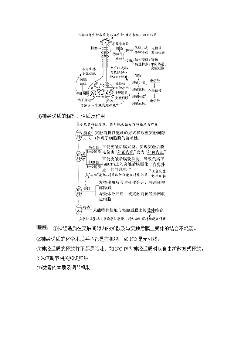 2023届高考生物二轮复习微专题2神经调节与体液调节学案02