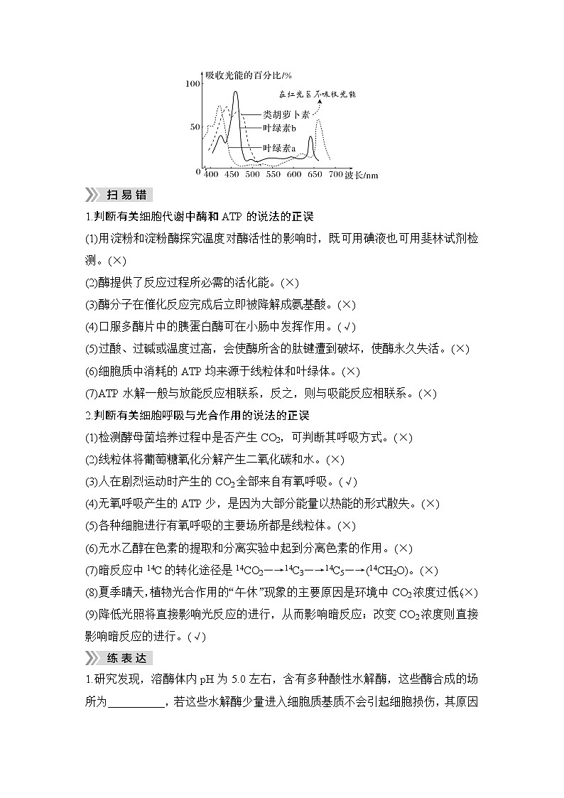 2023届高考生物二轮复习微专题2细胞代谢学案第3页