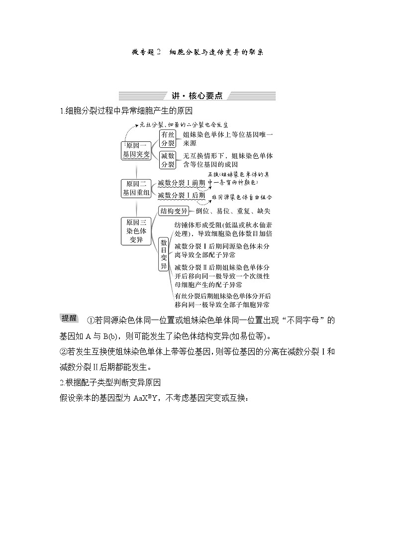2023届高考生物二轮复习微专题2细胞分裂与遗传变异的联系学案01