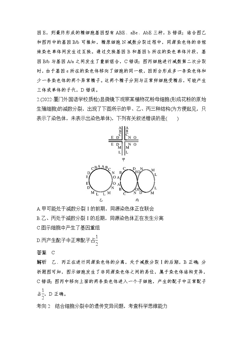 2023届高考生物二轮复习微专题2细胞分裂与遗传变异的联系学案03
