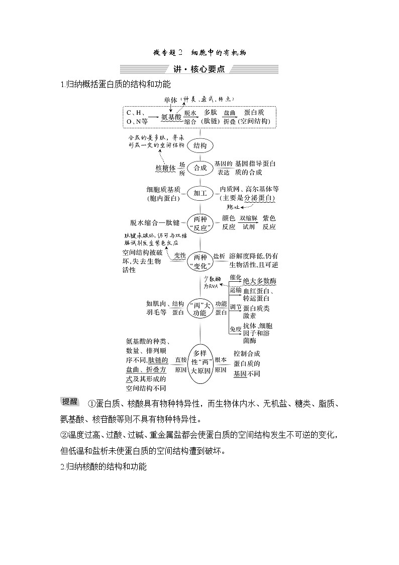 2023届高考生物二轮复习微专题2细胞中的有机物学案01