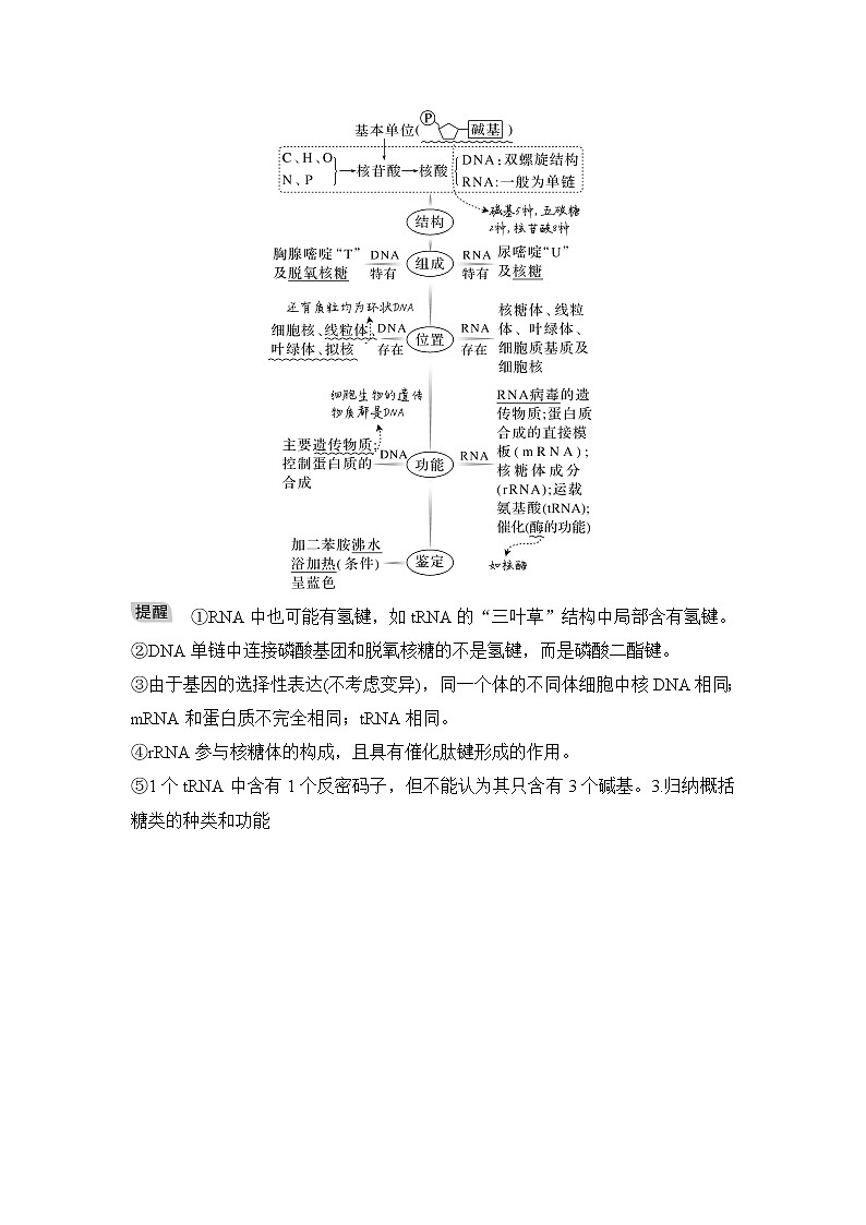2023届高考生物二轮复习微专题2细胞中的有机物学案02