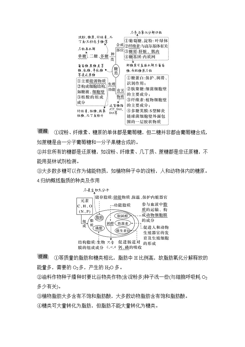 2023届高考生物二轮复习微专题2细胞中的有机物学案03