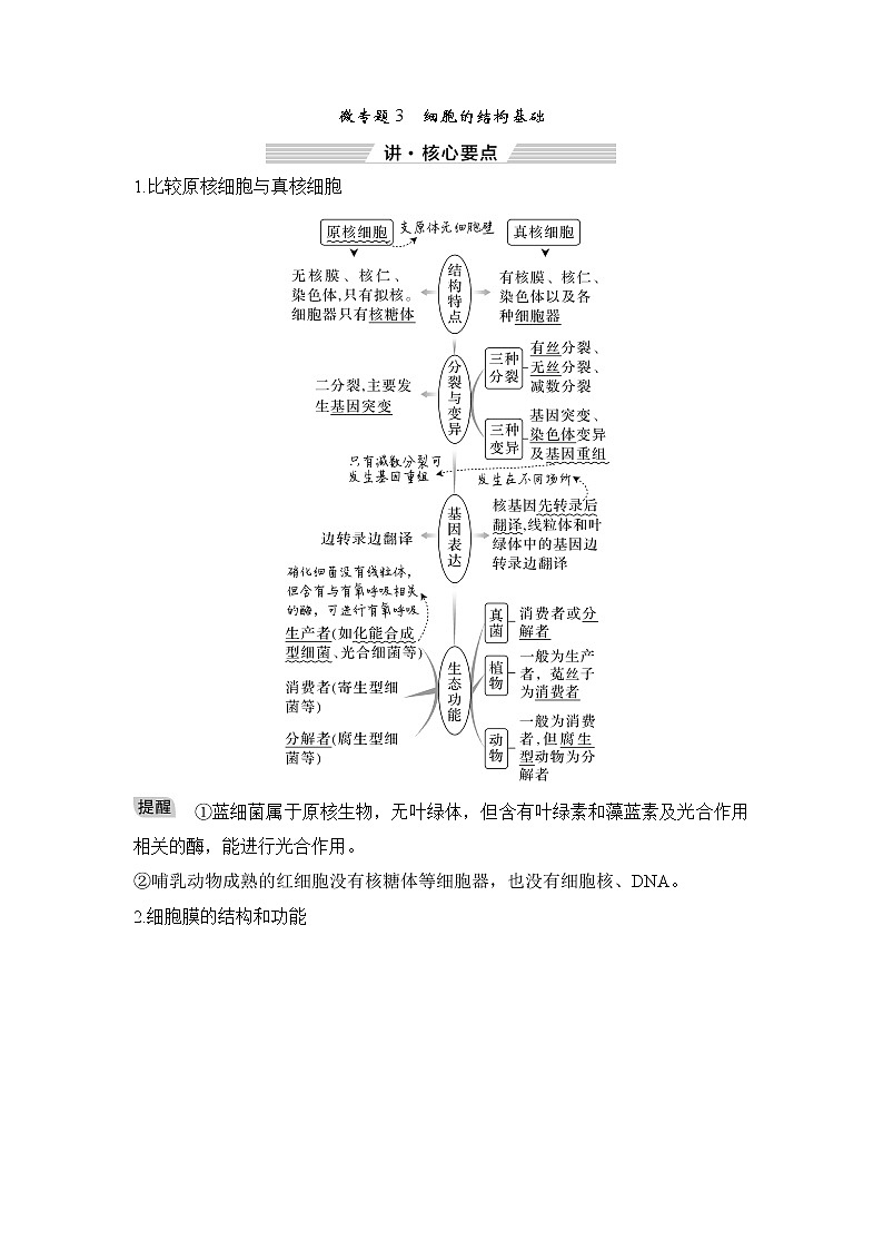 2023届高考生物二轮复习微专题3细胞的结构基础学案第1页