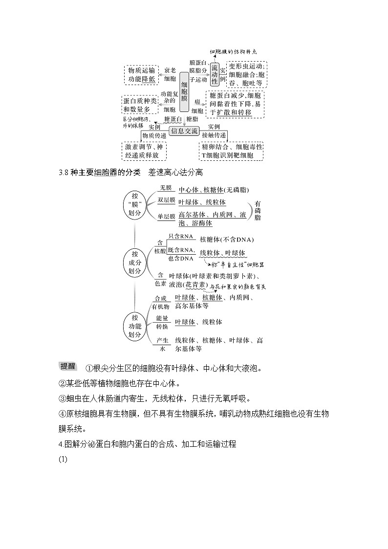 2023届高考生物二轮复习微专题3细胞的结构基础学案第2页