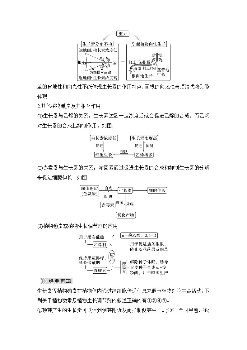 2023届高考生物二轮复习微专题3植物激素调节学案第2页