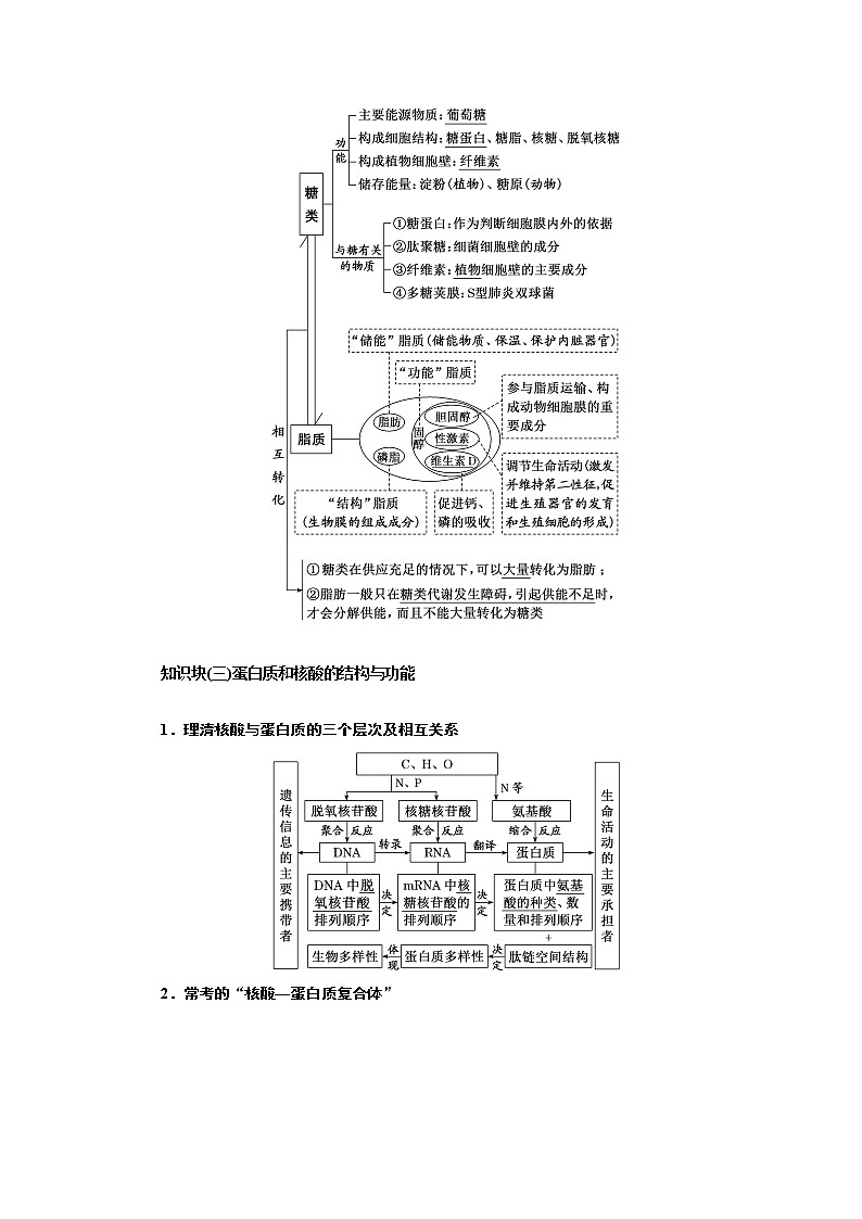 2023届高考生物二轮复习系统大概念——细胞是生物体结构与功能的基本单位学案第3页