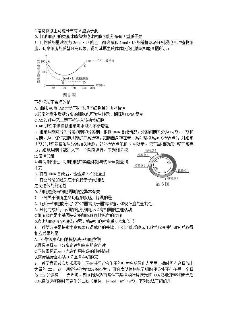 重庆市2022-2023学年高三生物上学期第一次联合诊断检测试题（Word版附答案）第2页